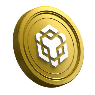 Moneta cripto Binance BNB nella pagina guida dedicata al trader principiante